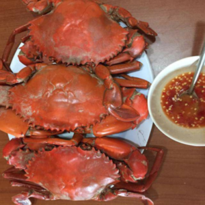 Cua bien ca mau- hai san tuoi song ha noi