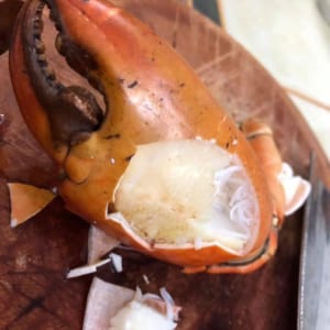 Cua bien ca mau- hai san tuoi song ha noi