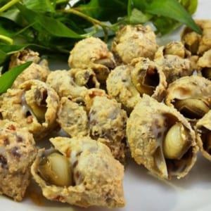 Oc huong - hai san tuoi song ha noi