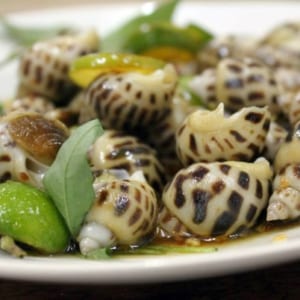 Oc huong - hai san tuoi song ha noi