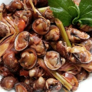 Sò huyết 9 So huyet ca mau- hai san tuoi song ha noi