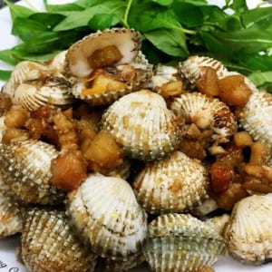 Sò huyết 11 So huyet ca mau- hai san tuoi song ha noi