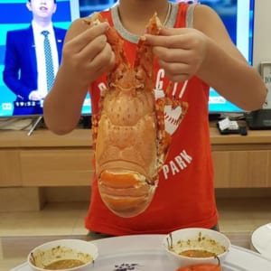 Tôm hùm bông 0.9-1kg 15 Tom hum bong- hai san tuoi song ha noi