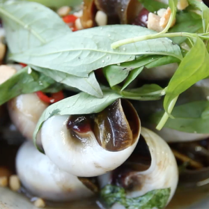 Ốc mỡ 10 oc mo- hai san tuoi song ha noi