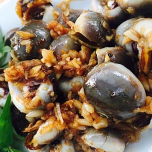 Ốc mỡ 8 oc mo- hai san tuoi song ha noi