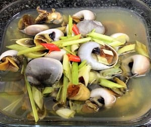 Ốc mỡ 7 oc mo- hai san tuoi song ha noi