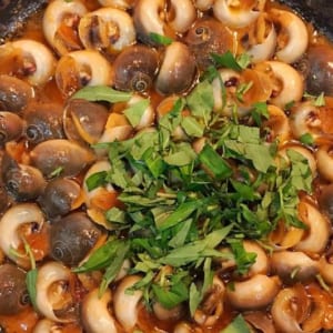 Ốc mỡ 6 oc mo- hai san tuoi song ha noi