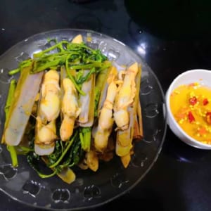 Ốc móng tay 16 oc mong tay- hai san tuoi song ha noi
