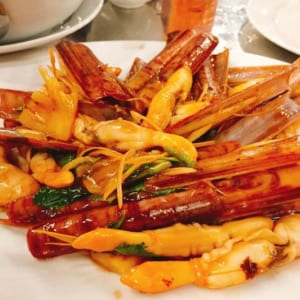 Ốc móng tay 21 oc mong tay- hai san tuoi song ha noi