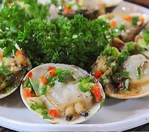Sò thưng 2 so thung- ngao thung- hai san tuoi song ha noi