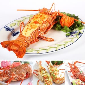 Tôm hùm xanh 17 Tom hum xanh hum baby tre- hai san tuoi song ha noi