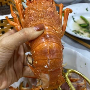 Tôm hùm xanh 10 Tom hum xanh hum baby tre- hai san tuoi song ha noi