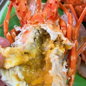 Tôm hùm xanh 13 Tom hum xanh hum baby tre- hai san tuoi song ha noi