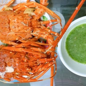 Tôm hùm xanh 15 Tom hum xanh hum baby tre- hai san tuoi song ha noi