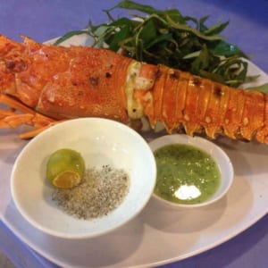 Tôm hùm xanh 31 Tom hum xanh hum baby tre- hai san tuoi song ha noi