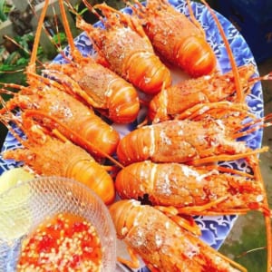 Tôm hùm xanh 32 Tom hum xanh hum baby tre- hai san tuoi song ha noi