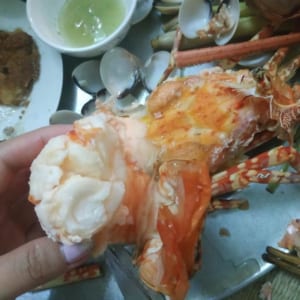 Tôm hùm xanh 34 Tom hum xanh hum baby tre- hai san tuoi song ha noi
