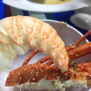 Tôm hùm xanh 6 Tom hum xanh hum baby tre- hai san tuoi song ha noi