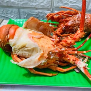 Tôm hùm xanh 37 Tom hum xanh hum baby tre- hai san tuoi song ha noi