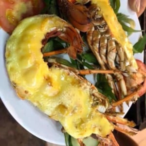 Tôm hùm xanh 7 Tom hum xanh hum baby tre- hai san tuoi song ha noi