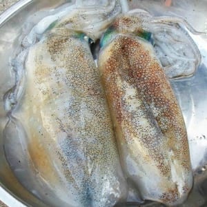 muc la cau nhay- hai san tuoi song ha noi