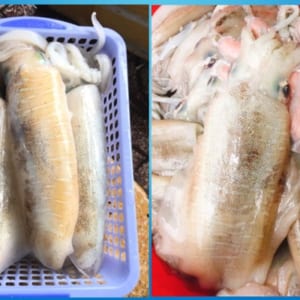 muc la cau nhay- hai san tuoi song ha noi