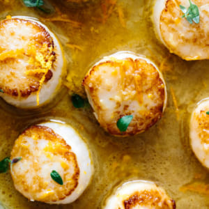 coi mai- hai san tuoi song ha noi